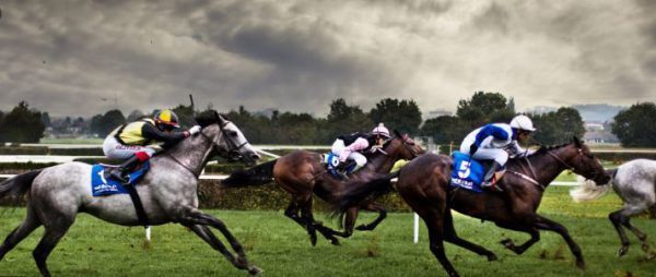 Online wedden op paardenrennen