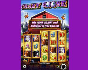 Crazy Goose gokkast