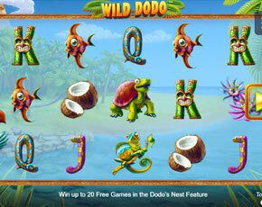 Wild Dodo gokkast
