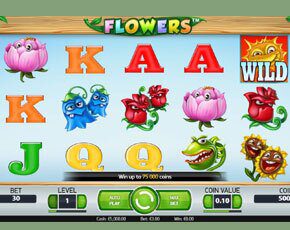 Flowers online slot NetEnt
