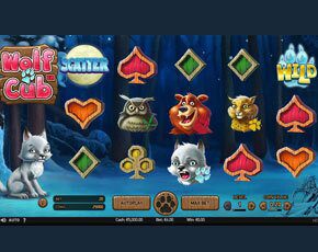 Wolf Cub online gokkast