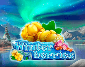 Winterberries slot