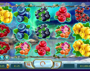 Winterberries videoslot