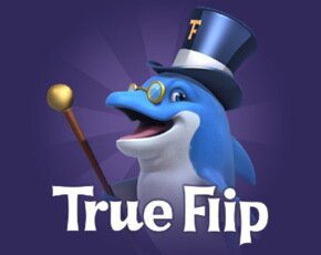 True Flip logo