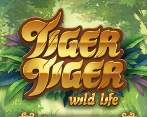Tiger Tiger Yggdrasil