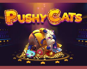 PUSHY Cats