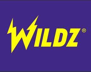Wildz casino logo