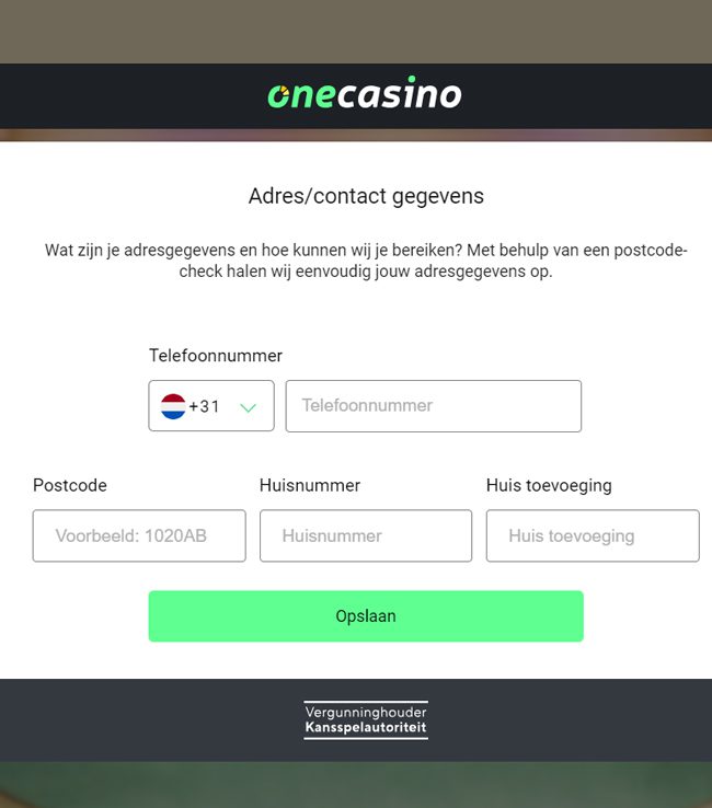 Adres gegevens invullen 