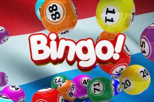 Bingo bij Nederlandse online casino's