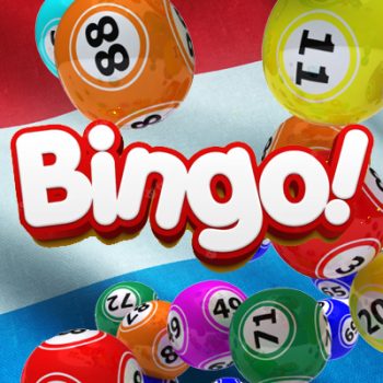 Bingo bij Nederlandse online casino's