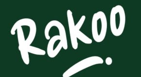 Rakoo Casino online casino
