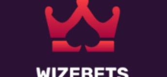 Wizebets logo