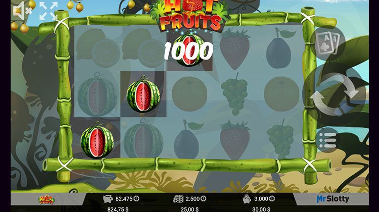 Hot Fruits online gokkast