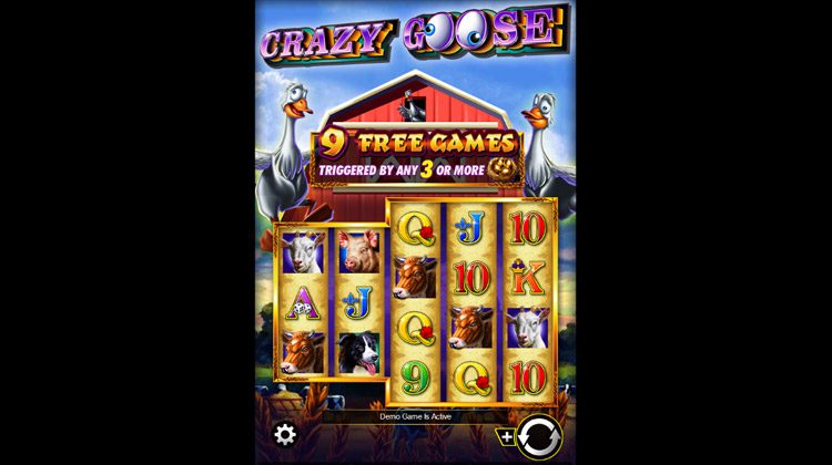 Crazy Goose Online Slot