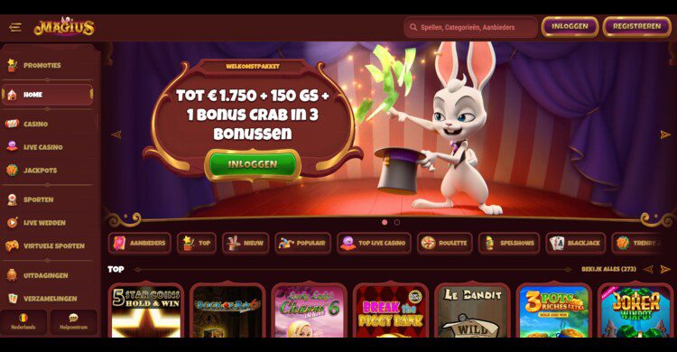 Magius Casino ING betalingen
