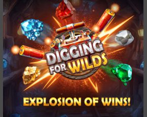 Digging For Wilds Logo