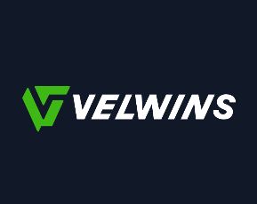 Velwins.vip logo