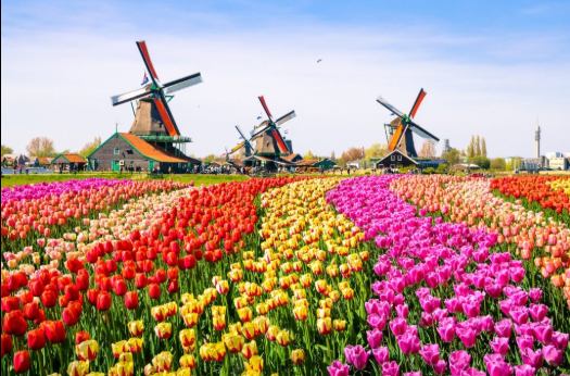 Nederland - WK 2026 favorieten