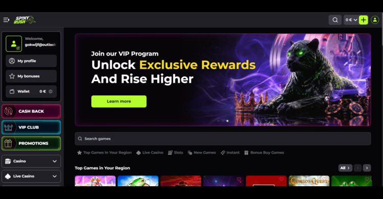 Spinyrush casino Homepage